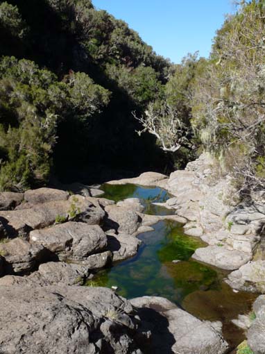 13-Levada-Alcerim--Rabacal--Cristo-Rei-018