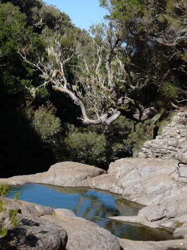 13-Levada-Alcerim--Rabacal--Cristo-Rei-027