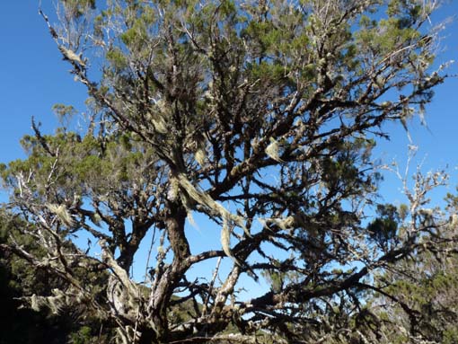 13-Levada-Alcerim--Rabacal--Cristo-Rei-029