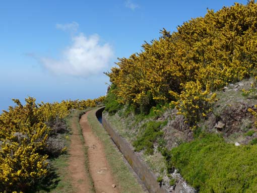 13-Levada-Alcerim--Rabacal--Cristo-Rei-030