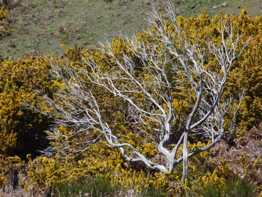 13-Levada-Alcerim--Rabacal--Cristo-Rei-037