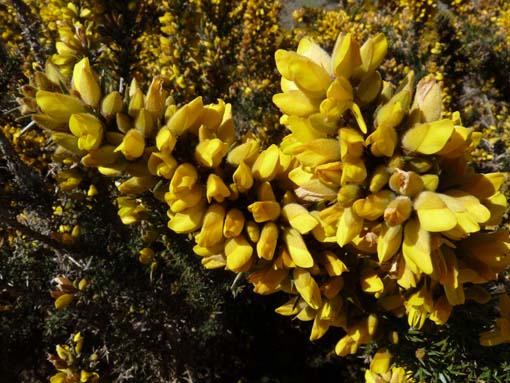 13-Levada-Alcerim--Rabacal--Cristo-Rei-038