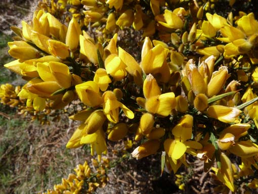 13-Levada-Alcerim--Rabacal--Cristo-Rei-039