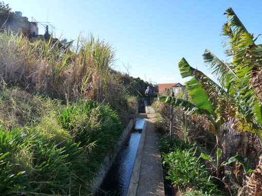 02-LevadaNova-RibeiraBrava-001