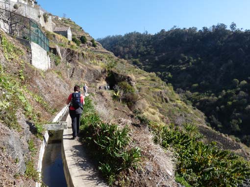 02-LevadaNova-RibeiraBrava-008