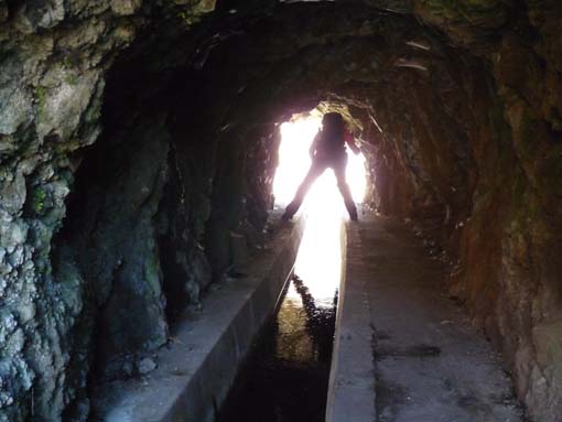 02-LevadaNova-RibeiraBrava-009