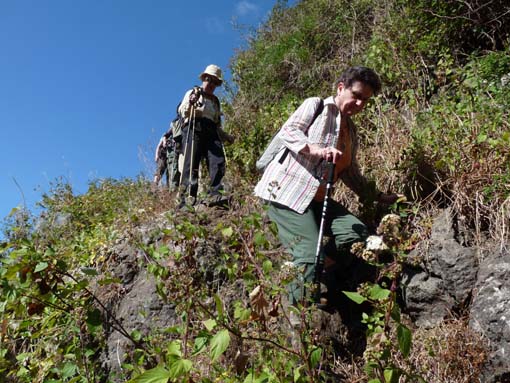 02-LevadaNova-RibeiraBrava-012