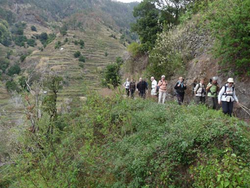 02-LevadaNova-RibeiraBrava-036