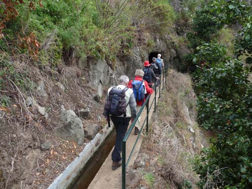 02-LevadaNova-RibeiraBrava-037