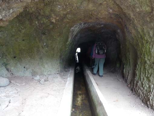 02-LevadaNova-RibeiraBrava-039