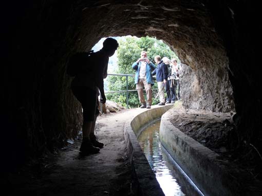 02-LevadaNova-RibeiraBrava-042