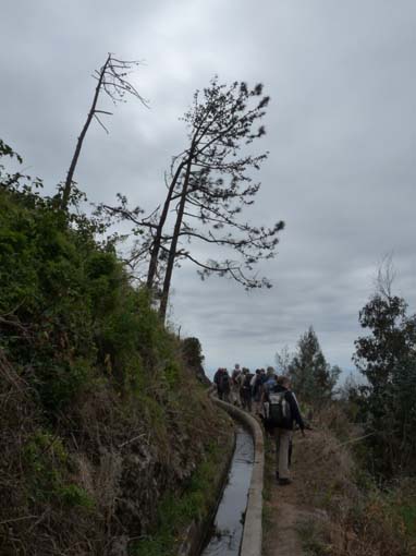 02-LevadaNova-RibeiraBrava-046