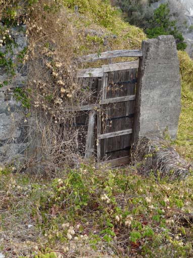 02-LevadaNova-RibeiraBrava-058