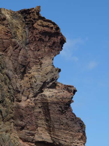 14-Ostkap--Ponta-Sao-Lourenco-019