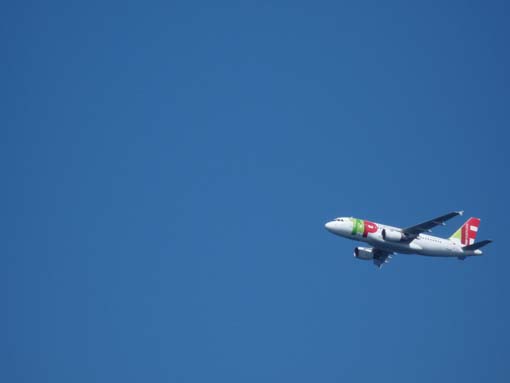 14-Ostkap--Ponta-Sao-Lourenco-049