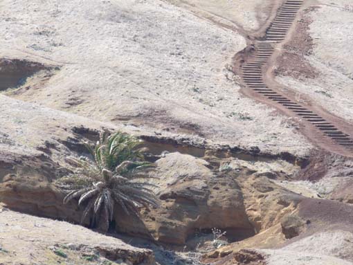 14-Ostkap--Ponta-Sao-Lourenco-081