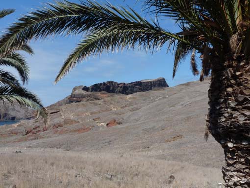 14-Ostkap--Ponta-Sao-Lourenco-117