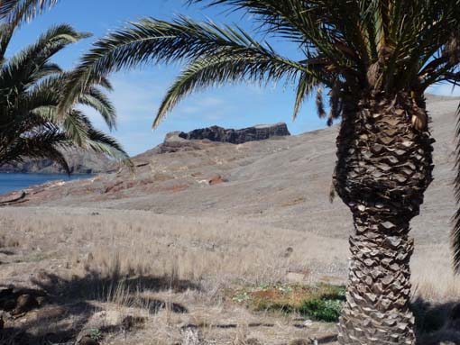 14-Ostkap--Ponta-Sao-Lourenco-118