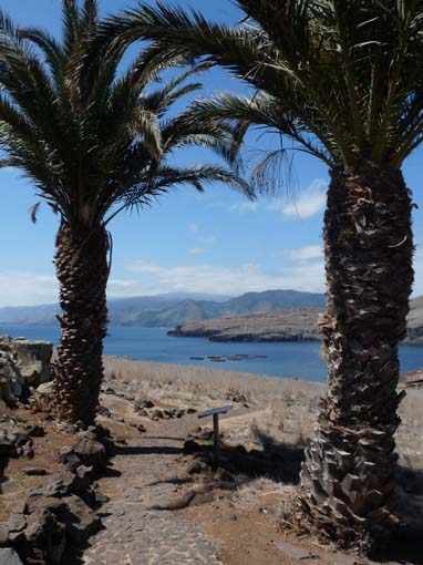 14-Ostkap--Ponta-Sao-Lourenco-123