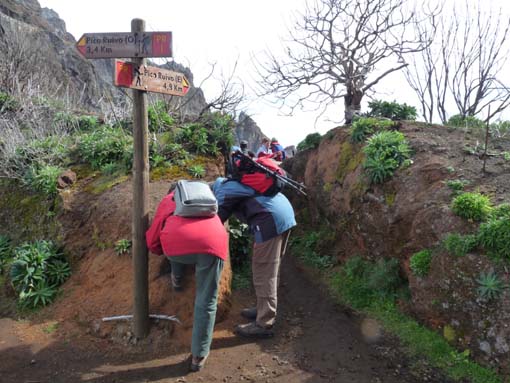 09-PicoArieiro-PicoRuivo-051