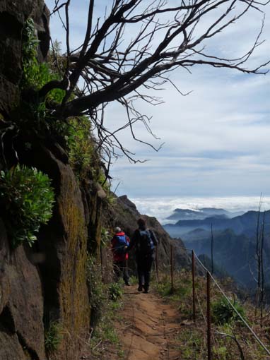 09-PicoArieiro-PicoRuivo-058