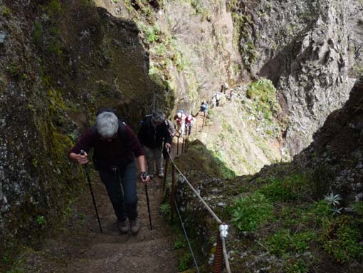 09-PicoArieiro-PicoRuivo-074