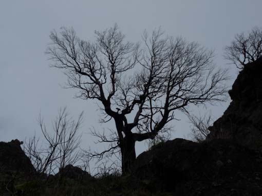 09-PicoArieiro-PicoRuivo-087