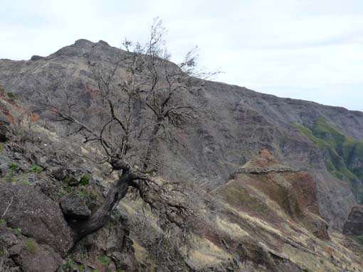 09-PicoArieiro-PicoRuivo-088