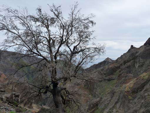 09-PicoArieiro-PicoRuivo-089