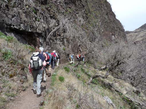 09-PicoArieiro-PicoRuivo-103