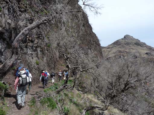 09-PicoArieiro-PicoRuivo-104