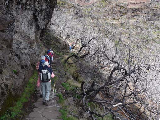 09-PicoArieiro-PicoRuivo-105