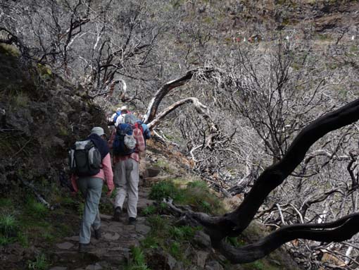 09-PicoArieiro-PicoRuivo-107