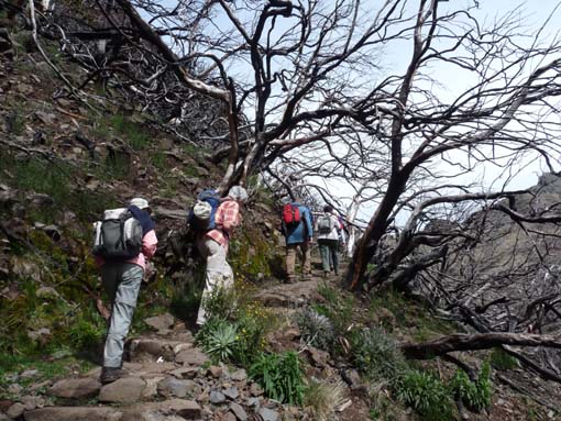 09-PicoArieiro-PicoRuivo-108