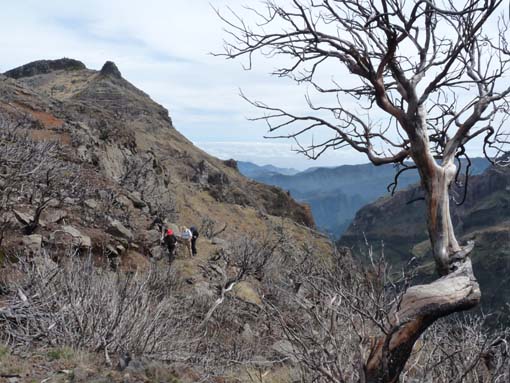 09-PicoArieiro-PicoRuivo-111