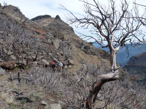 09-PicoArieiro-PicoRuivo-112