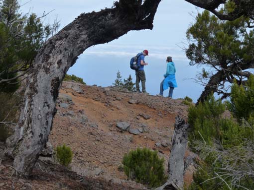 09-PicoArieiro-PicoRuivo-113