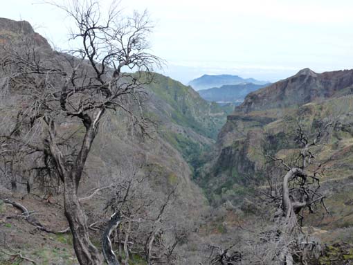 09-PicoArieiro-PicoRuivo-132