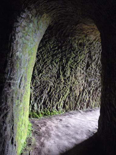 09-PicoArieiro-PicoRuivo-156