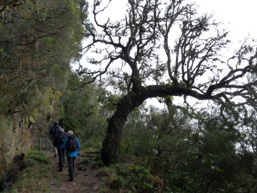 06-Pinaculo-BicaDaCana-004