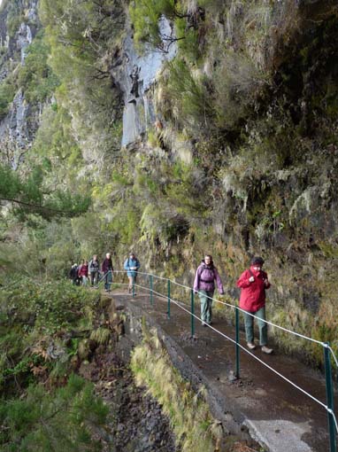 06-Pinaculo-BicaDaCana-005