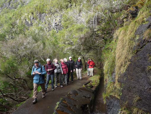 06-Pinaculo-BicaDaCana-010