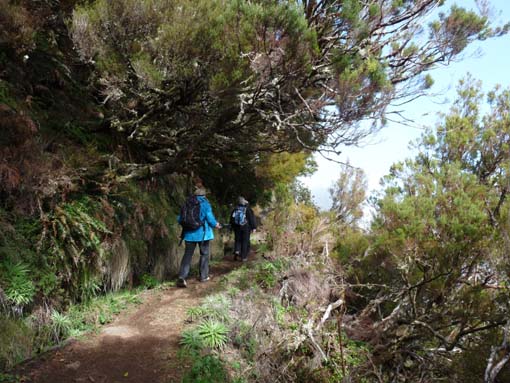 06-Pinaculo-BicaDaCana-015