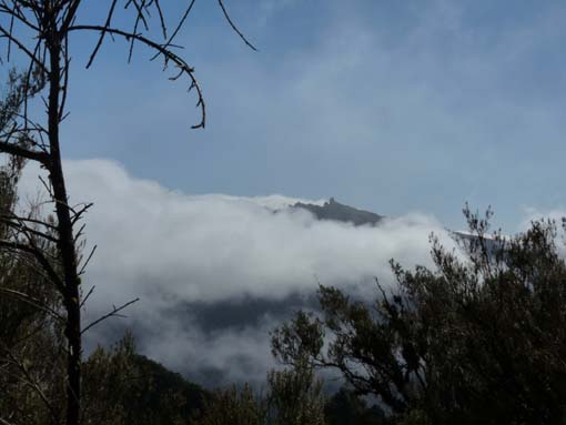 06-Pinaculo-BicaDaCana-016