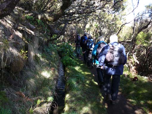 06-Pinaculo-BicaDaCana-018