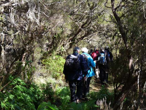 06-Pinaculo-BicaDaCana-020