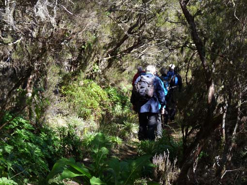 06-Pinaculo-BicaDaCana-021