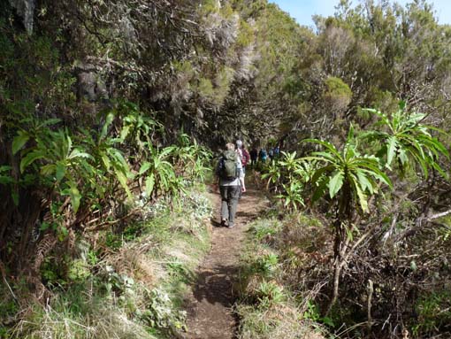 06-Pinaculo-BicaDaCana-025