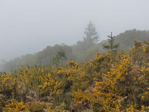 06-Pinaculo-BicaDaCana-035