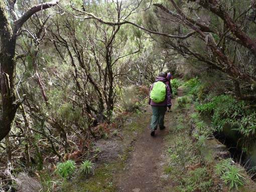 06-Pinaculo-BicaDaCana-050